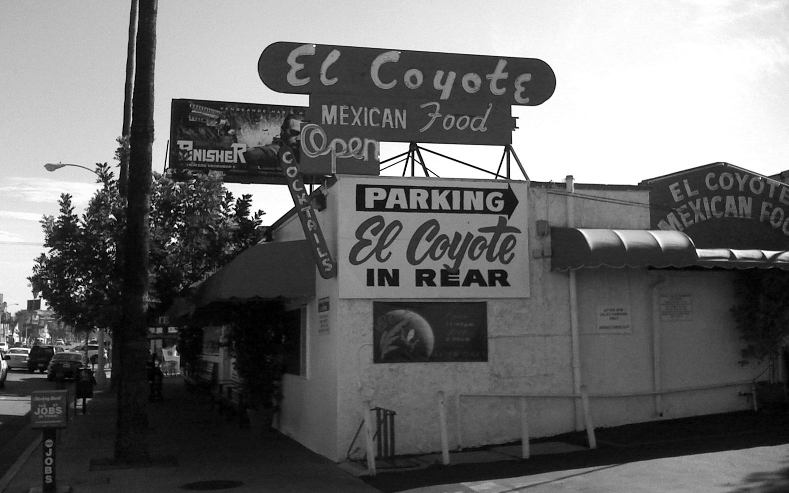 El_Coyote4.jpg
